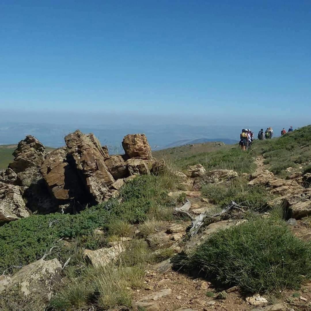 Hébergement de vacances Cruz Pinta Murtas, Granada, Espana Murtas